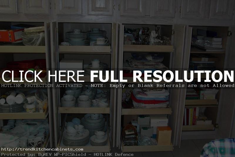kitchen cabinet organizers designs Kitchen Cabinet Organizers: Solution for Disorganized Kitchen