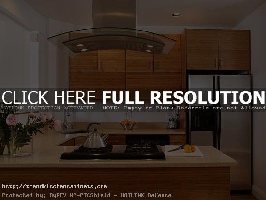 Bamboo Kitchen Cabinets Bamboo Kitchen Cabinets for Natural Feel in your Kitchen