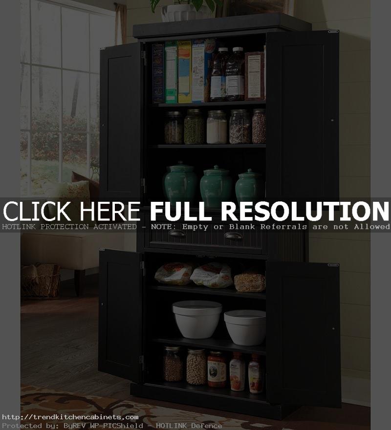 Black-Kitchen-Pantry-Cabinets-Design-Ideas