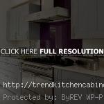 Sleek Shaker Kitchen Cabinet 150x150 Shaker Style Kitchen Cabinets Best Applied in Renovation