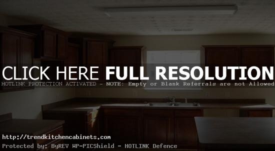 Prefabricated Kitchen Cabinets Prefab Kitchen Cabinets for Easy Remodeling in Kitchens