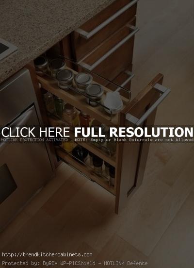 Pull Out Spice Rack For Kitchen Cabinets Spice Racks For Kitchen Cabinets to Save Space in The Kitchen