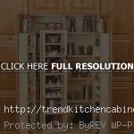 Spice Rack For Kitchen Cabinets Doors 150x150 Spice Racks For Kitchen Cabinets to Save Space in The Kitchen