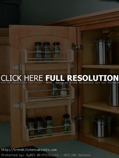Spice Rack For Kitchen Cabinets Spice Racks For Kitchen Cabinets to Save Space in The Kitchen