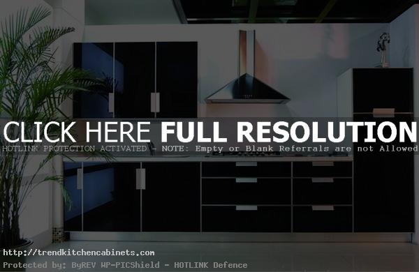 Black Glass Kitchen Cabinets Ideas Glass Kitchen Cabinets: a Smart Planning for Kitchen