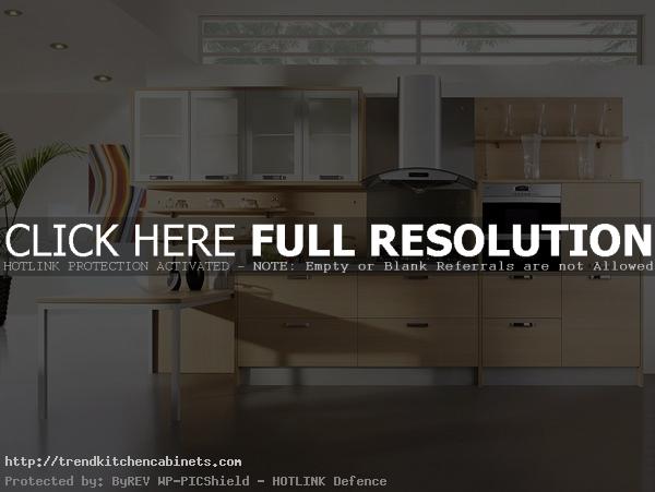Modern-Wood-Kitchen-Cabinets-Designs