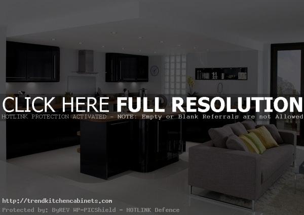 Black High Gloss Kitchen Cabinets Black Kitchen Cabinet for Sophisticated Kitchen