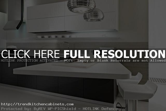 Black And White Kitchen Cabinets Right Organization of Black And White Kitchen Cabinets