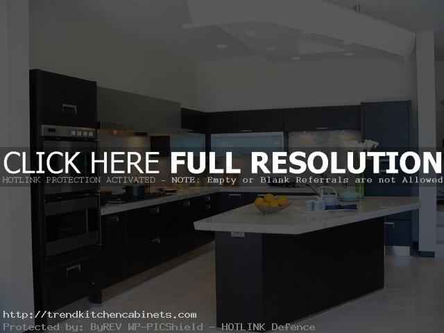 Black And White Kitchen Design Ideas Right Organization of Black And White Kitchen Cabinets