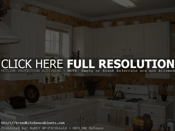Rustic Kitchen Ideas with White Cabinets And White KItchen Sink