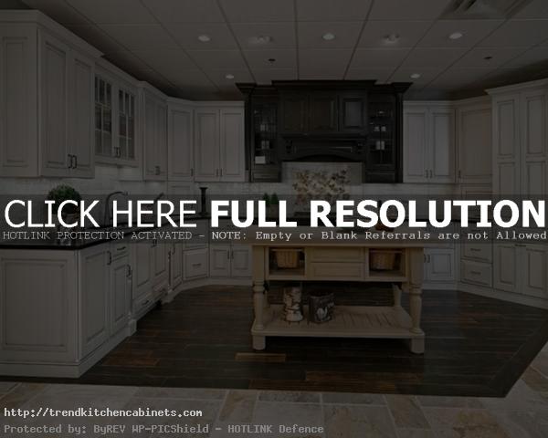 Kitchen Craft Cabinets Reviews How to Select Kitchen Craft Cabinets 