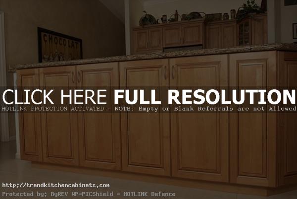 Wood Kitchen Cabinets Prices How to Choose Wood Kitchen Cabinets 