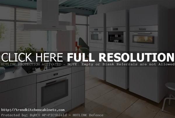 Contemporary Kitchen Cupboard Trends 2014 Kitchen Cupboard Trends and 3 Best Choices
