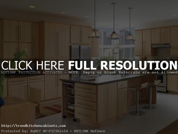 Cool Painting Kitchen Colors For Lights Maple Cabinets