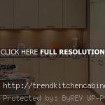 Contemporary Kitchen Cabinet Doors 150x150 Contemporary Kitchen Cabinet Door – Contemporary Look with the Cabinet Remodel