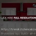 Contemporary Kitchen Cabinet Doors Pictures 150x150 Contemporary Kitchen Cabinet Door – Contemporary Look with the Cabinet Remodel
