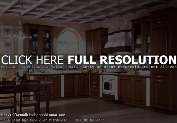 Luxury Wooden Kitchen Cabinets