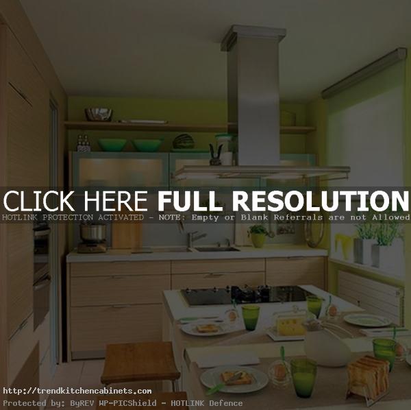 Green Yellow Kitchen Interior Ideas For Summer Green and Yellow Kitchen Ideas for Perfect Illumination