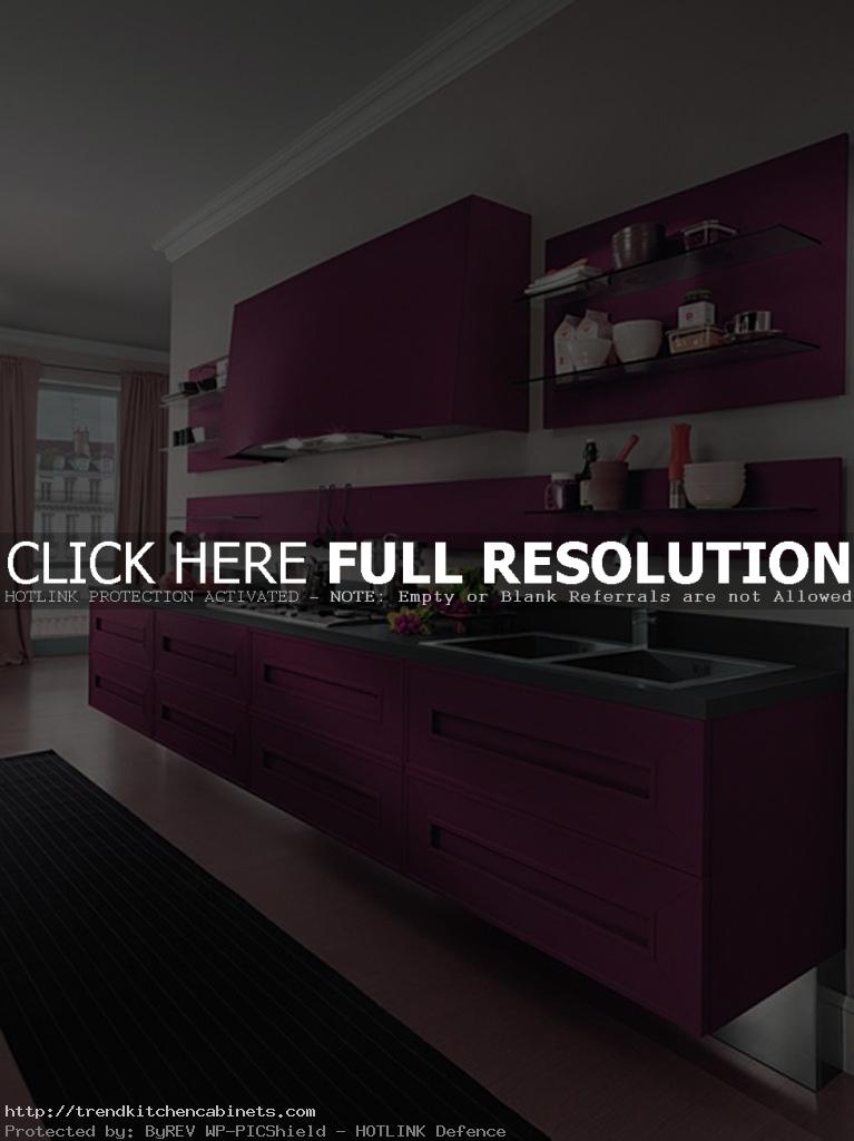 purple kitchen cabinets1 767x1024  Kitchen Remodeling:  Choosing Your New Kitchen Cabinets and Some Useful Tips