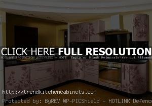 The Kitchen Cabinet Refacing Idea 2015 300x209 The Kitchen Cabinet Refacing Idea