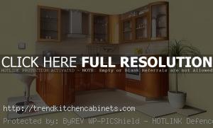 Organize Your Kitchen Cupboards 300x181 Smart Tips: How to Organize Your Kitchen Cupboards